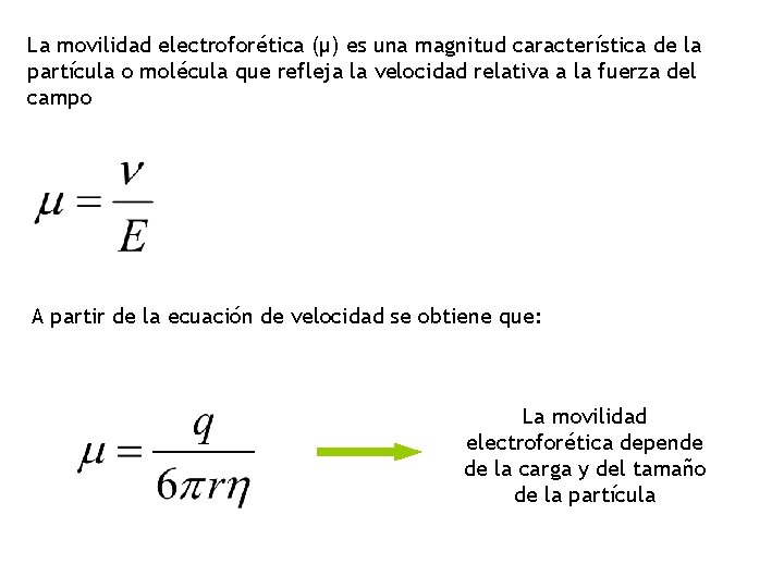 La movilidad electroforética (μ) es una magnitud característica de la partícula o molécula que