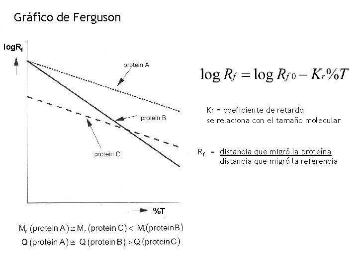 Gráfico de Ferguson log. Rf Kr = coeficiente de retardo se relaciona con el