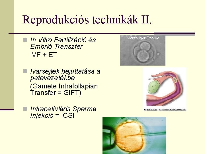 Reprodukciós technikák II. n In Vitro Fertilizáció és Embrió Transzfer IVF + ET n