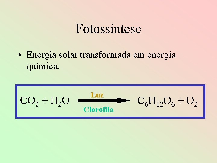 Fotossíntese • Energia solar transformada em energia química. CO 2 + H 2 O