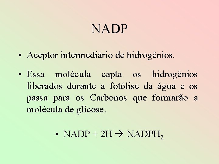 NADP • Aceptor intermediário de hidrogênios. • Essa molécula capta os hidrogênios liberados durante