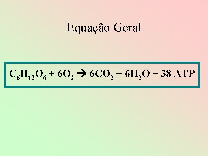 Equação Geral C 6 H 12 O 6 + 6 O 2 6 CO