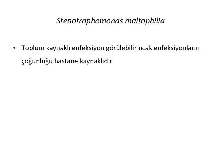Stenotrophomonas maltophilia • Toplum kaynaklı enfeksiyon görülebilir ncak enfeksiyonların çoğunluğu hastane kaynaklıdır 