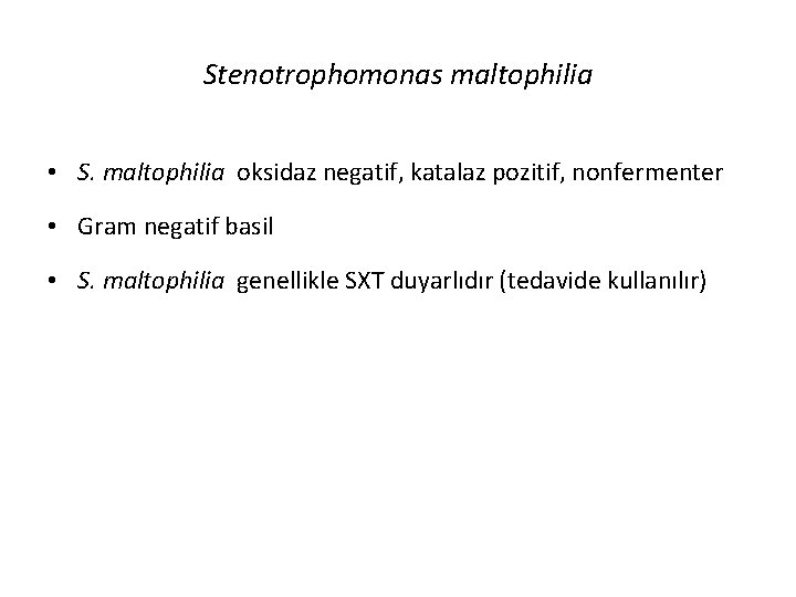 Stenotrophomonas maltophilia • S. maltophilia oksidaz negatif, katalaz pozitif, nonfermenter • Gram negatif basil