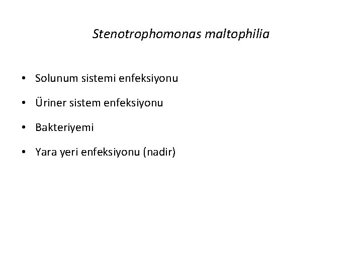 Stenotrophomonas maltophilia • Solunum sistemi enfeksiyonu • Üriner sistem enfeksiyonu • Bakteriyemi • Yara