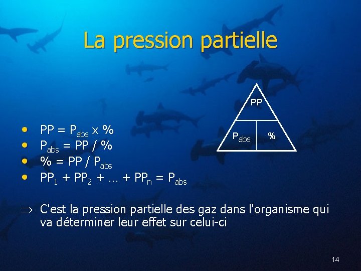 La pression partielle PP • • PP = Pabs x % Pabs = PP