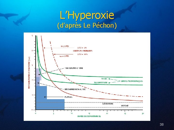 L’Hyperoxie (d’après Le Péchon) 38 