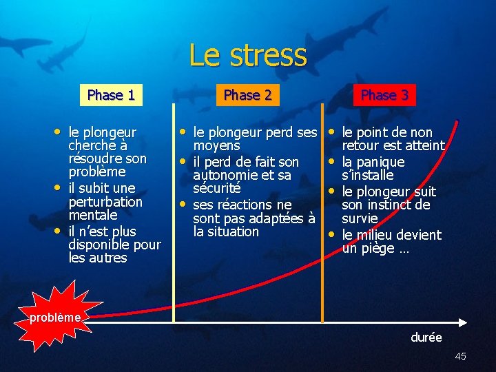 Le stress Phase 1 • le plongeur • • cherche à résoudre son problème