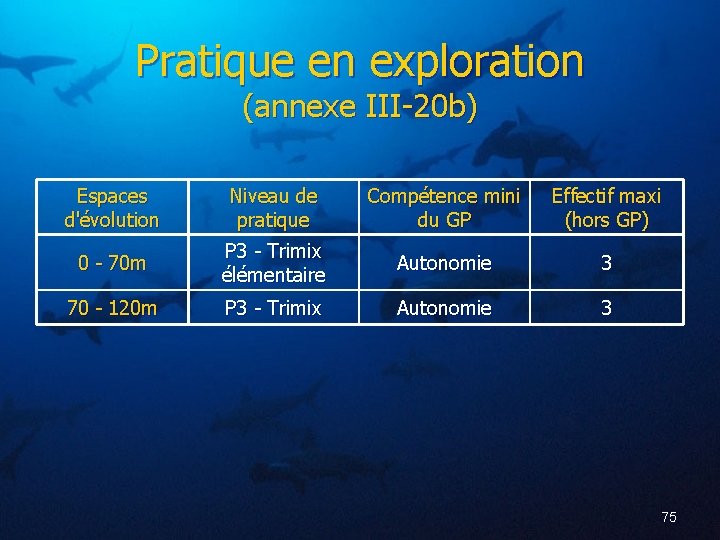 Pratique en exploration (annexe III-20 b) Espaces d'évolution Niveau de pratique Compétence mini du