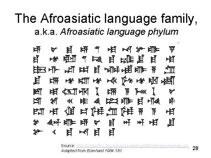 The Afroasiatic language family, a. k. a. Afroasiatic language phylum Source: http: //linguistics. byu.