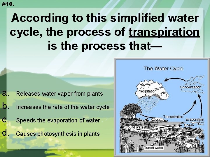 #10. According to this simplified water cycle, the process of transpiration is the process