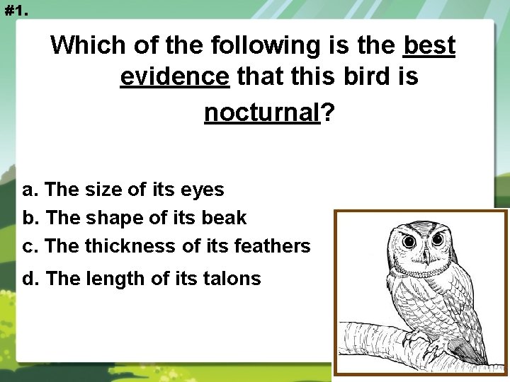 #1. Which of the following is the best evidence that this bird is nocturnal?
