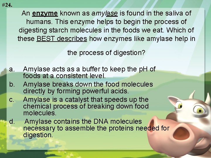 #24. An enzyme known as amylase is found in the saliva of humans. This
