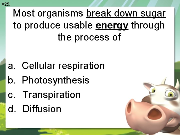 #25. Most organisms break down sugar to produce usable energy through the process of