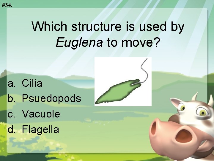 #34. Which structure is used by Euglena to move? a. b. c. d. Cilia