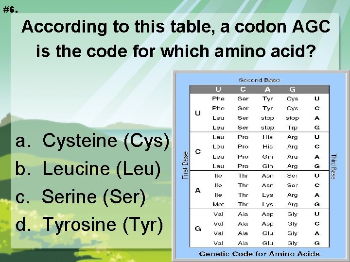 #6. According to this table, a codon AGC is the code for which amino
