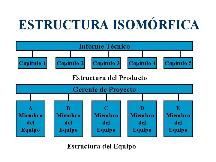 ESTRUCTURA ISOMÓRFICA Informe Técnico Capítulo 1 Capítulo 2 Capítulo 3 Capítulo 4 Capítulo 5