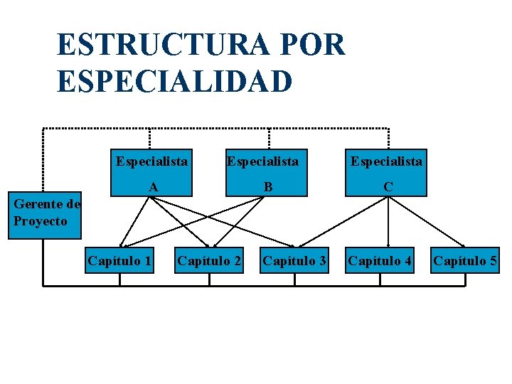 ESTRUCTURA POR ESPECIALIDAD Especialista A B Especialista C Gerente de Proyecto Capítulo 1 Capítulo