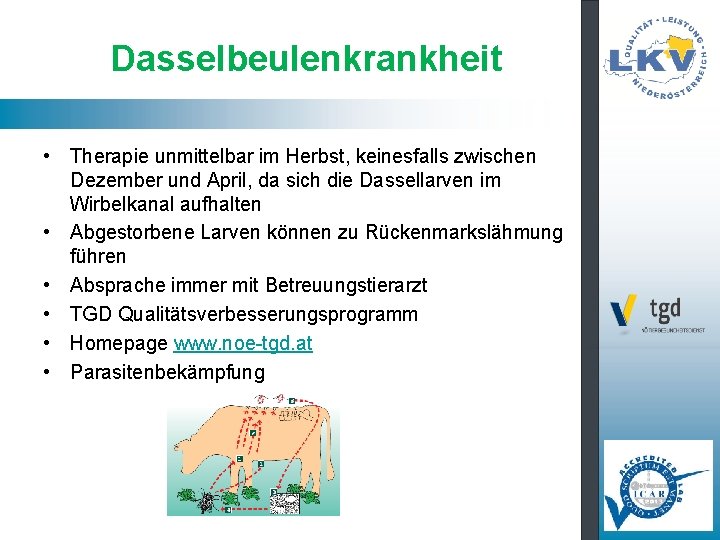 Dasselbeulenkrankheit • Therapie unmittelbar im Herbst, keinesfalls zwischen Dezember und April, da sich die