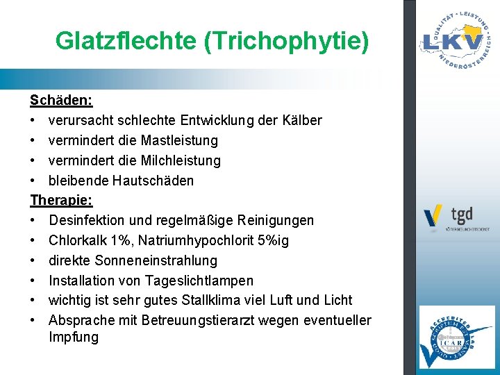 Glatzflechte (Trichophytie) Schäden: • verursacht schlechte Entwicklung der Kälber • vermindert die Mastleistung •
