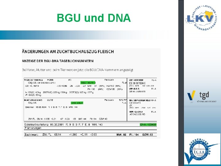 BGU und DNA 