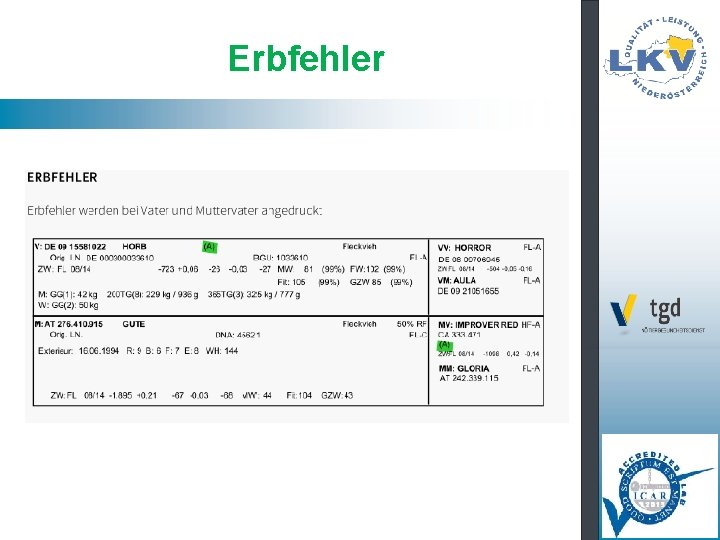 Erbfehler 