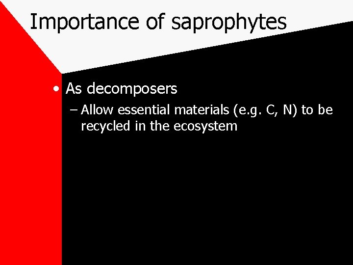 Importance of saprophytes • As decomposers – Allow essential materials (e. g. C, N)