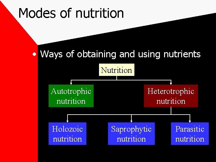 Modes of nutrition • Ways of obtaining and using nutrients Nutrition Autotrophic nutrition Holozoic