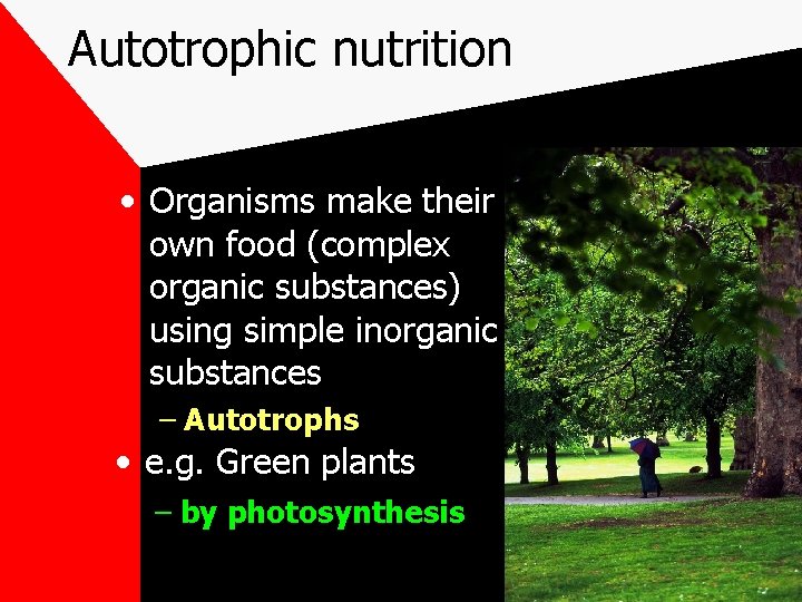 Autotrophic nutrition • Organisms make their own food (complex organic substances) using simple inorganic