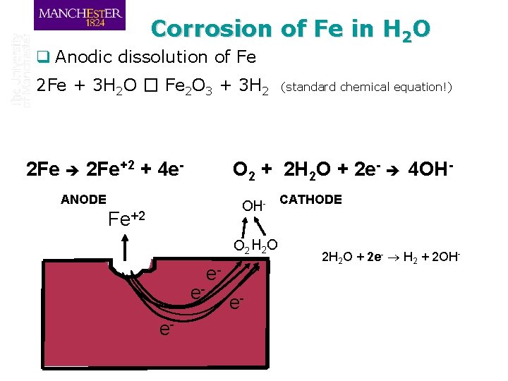 Corrosion of Fe in H 2 O q Anodic dissolution of Fe 2 Fe