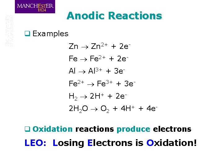 Anodic Reactions q Examples Zn 2+ + 2 e. Fe 2+ + 2 e.