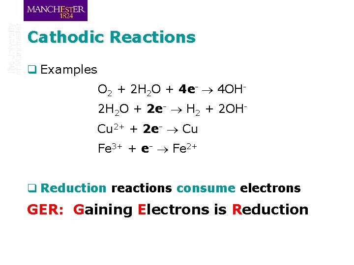 Cathodic Reactions q Examples O 2 + 2 H 2 O + 4 e-