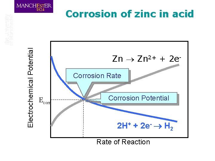 Electrochemical Potential Corrosion of zinc in acid Zn 2+ + 2 e. Corrosion Rate