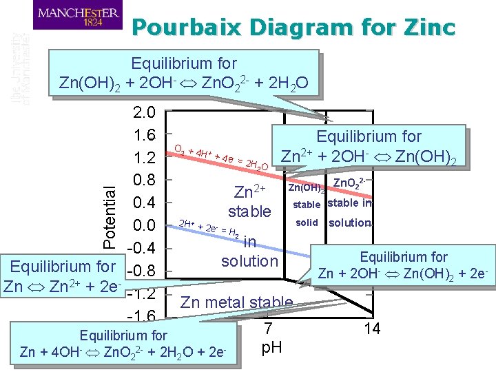 Pourbaix Diagram for Zinc Equilibrium for Zn(OH)2 + 2 OH- Zn. O 22 -