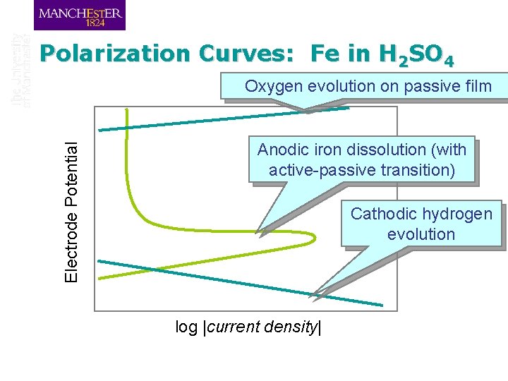 Polarization Curves: Fe in H 2 SO 4 Electrode Potential Oxygen evolution on passive