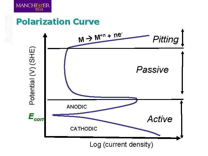 Polarization Curve +n Potential (V) (SHE) M M e n + Pitting Passive ANODIC