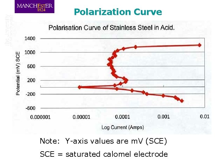 Polarization Curve Note: Y-axis values are m. V (SCE) SCE = saturated calomel electrode