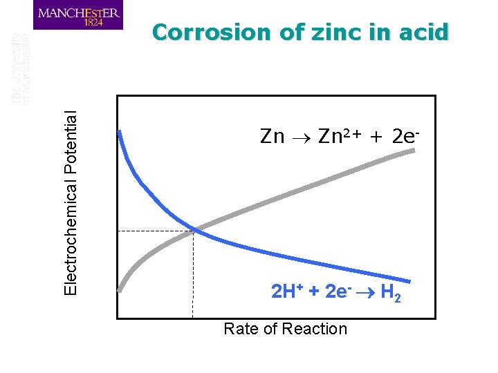 Electrochemical Potential Corrosion of zinc in acid Zn 2+ + 2 e- 2 H+