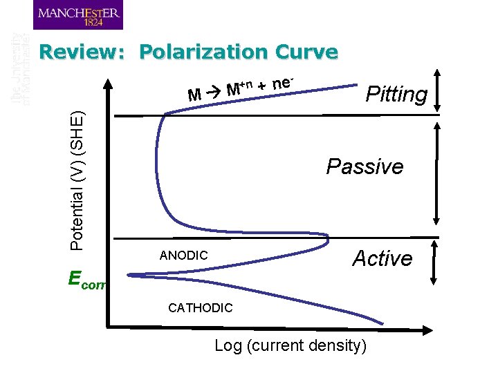 Review: Polarization Curve +n Potential (V) (SHE) M M e n + Pitting Passive