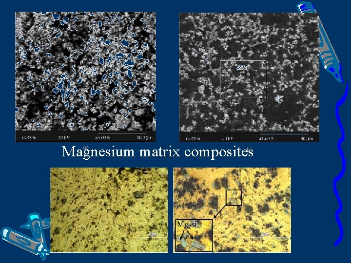 Magnesium matrix composites 