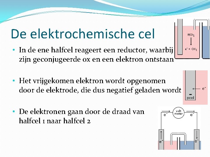 De elektrochemische cel • In de ene halfcel reageert een reductor, waarbij zijn geconjugeerde