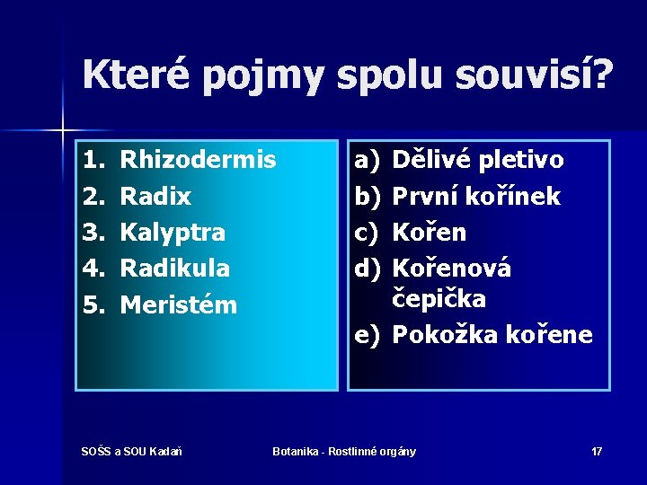Které pojmy spolu souvisí? 1. 2. 3. 4. 5. Rhizodermis Radix Kalyptra Radikula Meristém