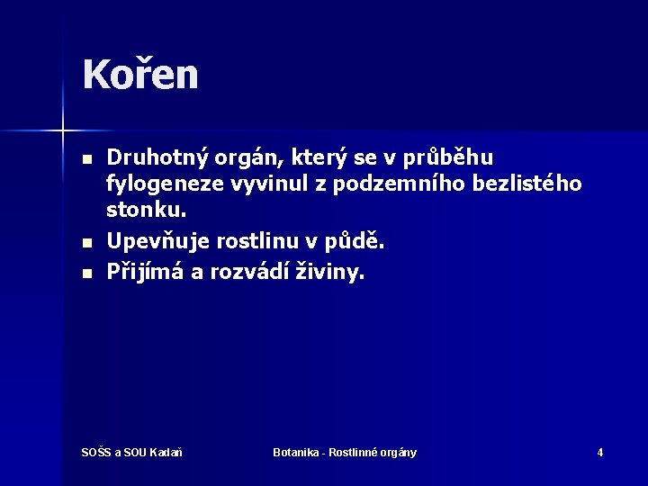 Kořen n Druhotný orgán, který se v průběhu fylogeneze vyvinul z podzemního bezlistého stonku.