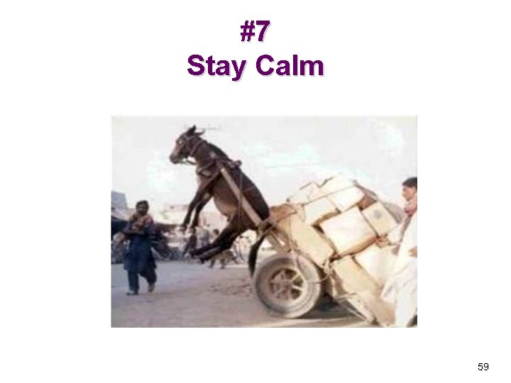 #7 Stay Calm 59 