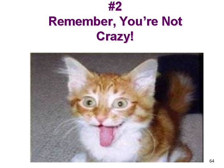 #2 Remember, You’re Not Crazy! 64 