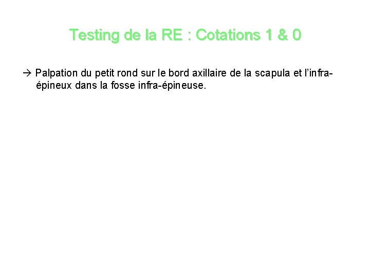 Testing de la RE : Cotations 1 & 0 Palpation du petit rond sur