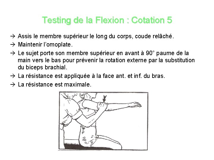 Testing de la Flexion : Cotation 5 Assis le membre supérieur le long du