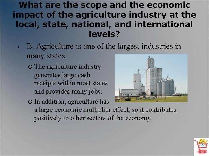 What are the scope and the economic impact of the agriculture industry at the