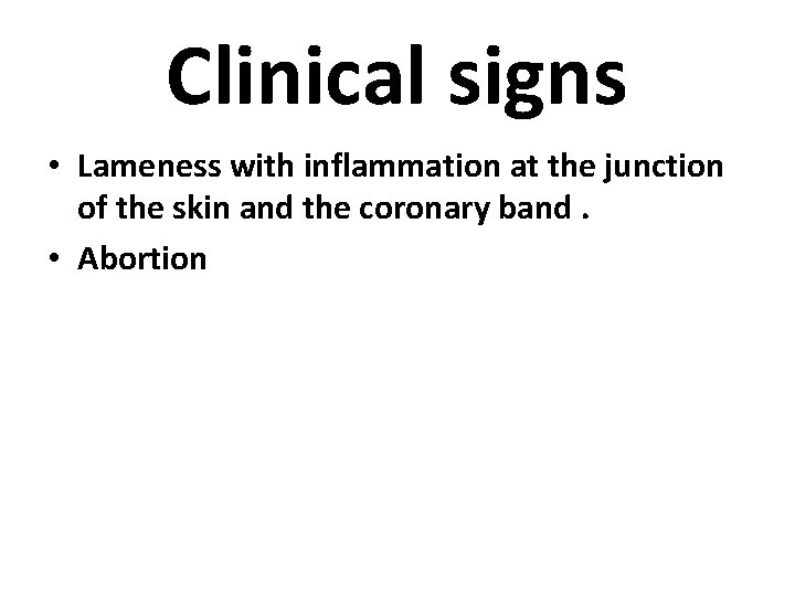 Clinical signs • Lameness with inflammation at the junction of the skin and the