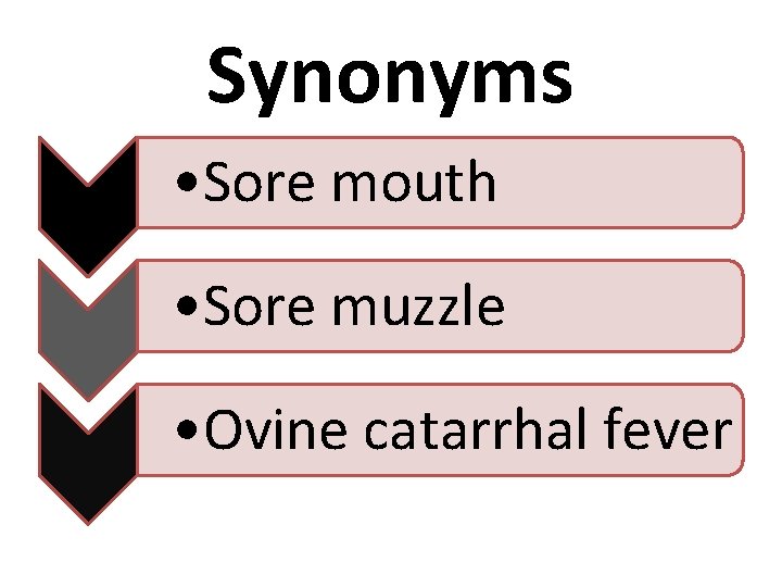 Synonyms • Sore mouth • Sore muzzle • Ovine catarrhal fever 
